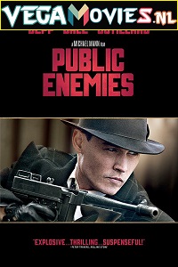 Download  Public Enemies (2009) Dual Audio {Hindi-English} 480p [450MB] | 720p [1.2GB] | 1080p [2.7GB]