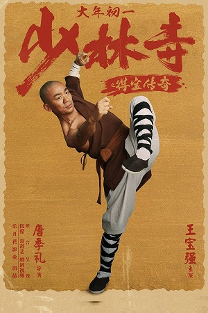 Download  Rising Shaolin: The Protector (2021) HDRip Dual Audio {Hindi-Chinese} 480p [350MB] | 720p [1GB]