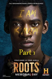 Download  Roots – Part 1 (2016) Dual Audio {Hindi-English} 480p [400MB] | 720p [1GB]