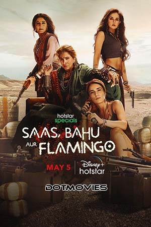 Download  Saas Bahu Aur Flamingo (Season 1) Hindi Disney- Hotstar Complete WEB Series 480p | 720p | 1080p WEB-DL