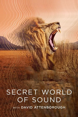 Download  Secret World of Sound with David Attenborough – S01 (2024) Dual Audio {Hindi-English} WEB-Series 720p & 1080p WEB-DL