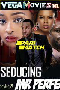 Download  Seducing Mr. Perfect (2019) Hindi Voice Over Full Movie WEB-DL 720p [1GB]