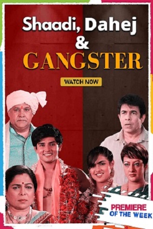 Download  Shaadi, Dahej and Gangster (2021) Hindi Full Movie 480p [300MB] | 720p [800MB]