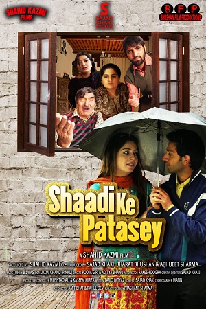 Download  Shaadi Ke Patasey (2019) Hindi Full Movie WEB-DL 480p [230MB] | 720p [750MB] | 1080p [2.5GB]