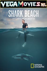 Download  Shark Beach with Chris Hemsworth (2021) Dual Audio {Hindi-English} 720p [250MB] HEVC HDRip