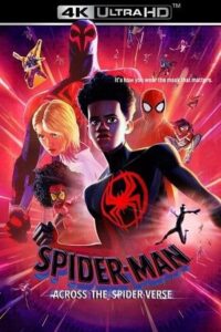 Download  Spider-Man: Across the Spider-Verse (2023) BluRay Dual Audio {Hindi-English} 480p [480MB] | 720p [1.3GB] | 1080p [3GB] | 2160p [20GB] 4K SDR