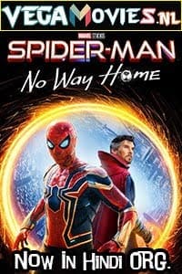 Download  Spider-Man: No Way Home (2021) Dual Audio [Hindi ORG - English] WeB-DL 480p | 720p | 1080p | 2160p 4K