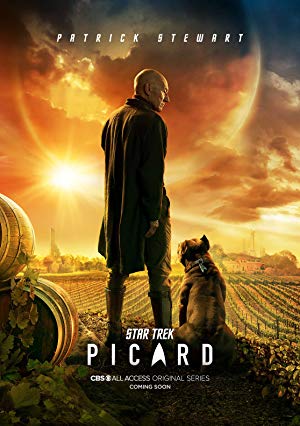 Download  Netflix Star Trek: Picard (2020) Season 1 Hindi {All Episodes} 480p & 720p