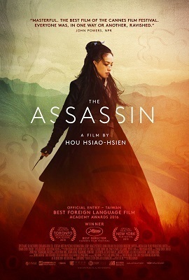 Download  The Assassin (2015) Dual Audio {Hindi-English} 480p [350MB] | 720p [1GB]