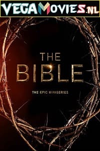 Download  The Bible (2013) Season 1 Dual Audio {Hindi-English} 720p [400MB] WEB-DL