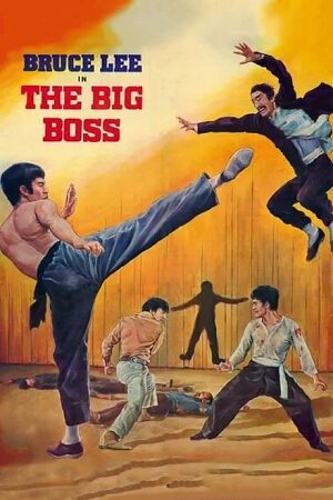 Download  The Big Boss (1971) BluRay Dual Audio {Hindi-English} 480p [330MB] | 720p [800MB] | 1080p [2.2GB] Full-Movie