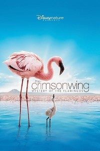 Download  The Crimson Wing (2008) Dual Audio {Hindi-English} 480p [300MB] | 720p [800MB]