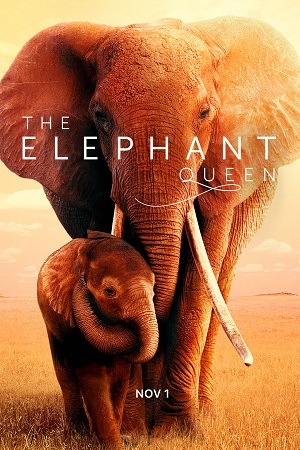 Download  The Elephant Queen (2019) WEB-DL Dual Audio {Hindi-English} 480p [320MB] | 720p [900MB] | 1080p [2GB]