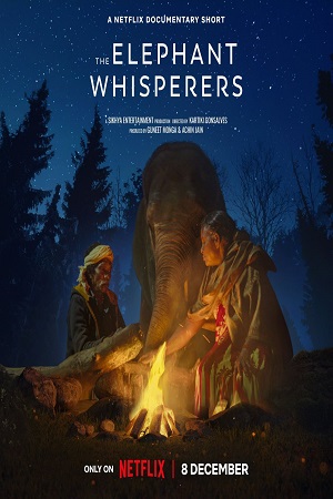 Download  The Elephant Whisperers (2022) WEB-DL Dual Audio {Hindi-English} 480p [300MB] | 720p [470MB] | 1080p [1.4GB]