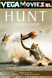 Download  The Hunt (2015) Season 1 English With Subtitles 720p [450MB] WEB-DL