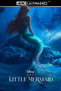 Download  The Little Mermaid (2023) BluRay Dual Audio {Hindi ORG 5.1 – English} 480p [450MB] | 720p [1.4GB] | 1080p [3.2GB] | 2160p [25GB]