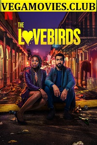 Download  The Lovebirds (2020) Netflix English Full Movie 480p [350MB] | 720p [750MB]