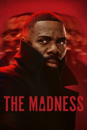 Download  The Madness (2024) Season 1 Netflix Original Dual Audio {Hindi-English} WEB Series – 480p | 720p | 1080p WEB-DL