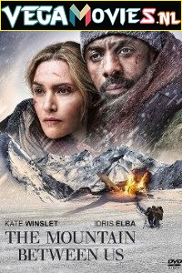 Download  The Mountain Between Us (2017) Dual Audio [Hindi-English] 480p [350MB] | 720p [1.1GB]