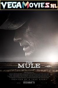 Download  The Mule (2018) English With Subtitles 480p [500MB] | 720p [900MB]