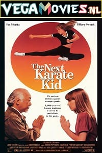 Download  The Next Karate Kid (1994) Dual Audio {Hindi-English} 480p [400MB] | 720p [1GB] | 1080p [3.7GB]