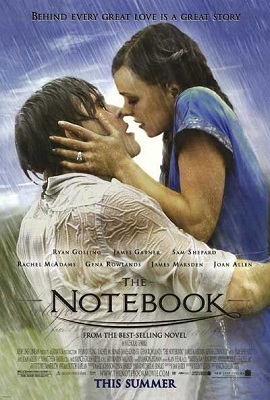 Download  The Notebook (2004) Dual Audio {Hindi-English} 480p [350MB] | 720p [1GB]