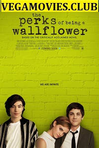 Download  The Perks of Being a Wallflower (2012) BluRay English Full Movie 480p [400MB] | 720p [800MB]