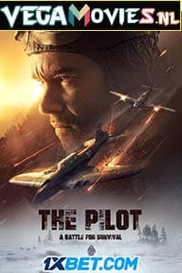 Download  The Pilot. A Battle for Survival (2021) Hindi [Voice Over] Full Movie WEB-DL 720p [957MB]