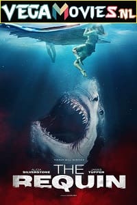 Download  The Requin (2022) {English with Subtitles} 480p [300MB] | 720p [800MB]