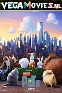 Download  The Secret Life of Pets (2016) Dual Audio [Hindi-English] 480p [350MB] | 720p [850MB] | 1080p [3.2GB]