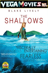 Download  The Shallows (2016) Dual Audio {Hindi-English} 480p [350MB] | 720p [950MB] | 1080p [1.5GB]