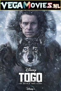 Download  Togo (2019) Full Movie {English with Subtitles} WEB-DL 480p [450MB] | 720p [1GB] | 1080p [1.8GB]