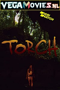 Download  Torch (2021) Hindi Voice Over Full Movie WEB-DL 720p [1GB]