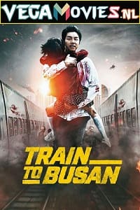 Download  Train to Busan (2016) Dual Audio {Hindi-English} 480p [450MB] | 720p [1GB] | 1080p [2.5GB]