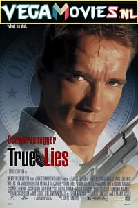 Download  True Lies (1994) Dual Audio {Hindi-English} 480p [450MB] | 720p [1.2GB]