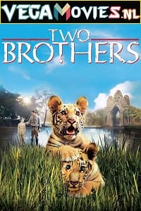 Download  Two Brothers (2004) Dual Audio [Hindi-English] WeB-DL 480p [350MB] | 720p [1GB]