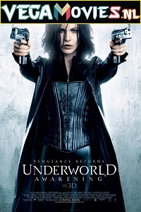 Download  Underworld Awakening (2012) Dual Audio {Hindi-English} 480p [400MB] | 720p [1GB] | 1080p [1.5GB]