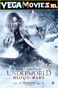 Download  Underworld: Blood Wars (2016) Dual Audio {Hindi-English} 480p [300MB] | 720p [900MB] | 1080p [3.2GB]