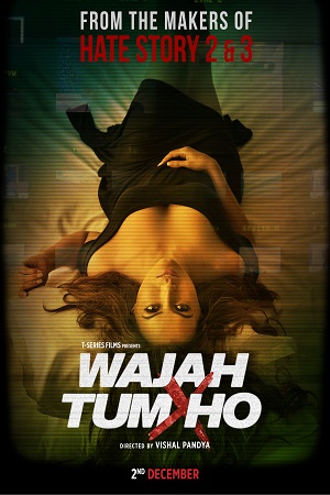 Download  Wajah Tum Ho (2016) Hindi Full Movie 480p [350MB] | 720p [1.2GB] | 1080p [4GB]