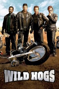 Download  Wild Hogs (2007) BluRay Dual Audio Hindi 480p [340MB] | 720p [750MB] | 1080p [2GB]