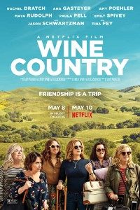 Download  Wine Country (2019) Dual Audio {Hindi-English} 480p [400MB] | 720p [1GB] BluRay