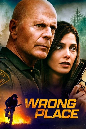 Download  Wrong Place (2022) BluRay Dual Audio {Hindi-English} 480p [360MB] | 720p [950MB] | 1080p [2.2GB]