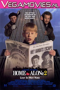 Download  Home Alone 2 (1992) Dual Audio {Hindi-English} 480p [400MB] | 720p [1GB]