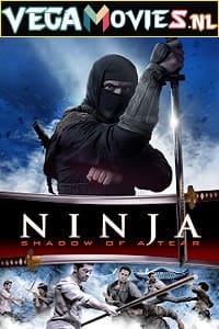 Download  Ninja: Shadow of a Tear (2013) Dual Audio {Hindi-English} 480p [300MB] | 720p [1GB]