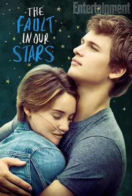 Download  The Fault in Our Stars (2014) [English With Hindi Subtitles] 480p [300MB] | 720p [900MB]