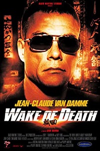 Download  Wake of Death (2004) Dual Audio {Hindi-English} 480p [300MB] | 720p [1GB]